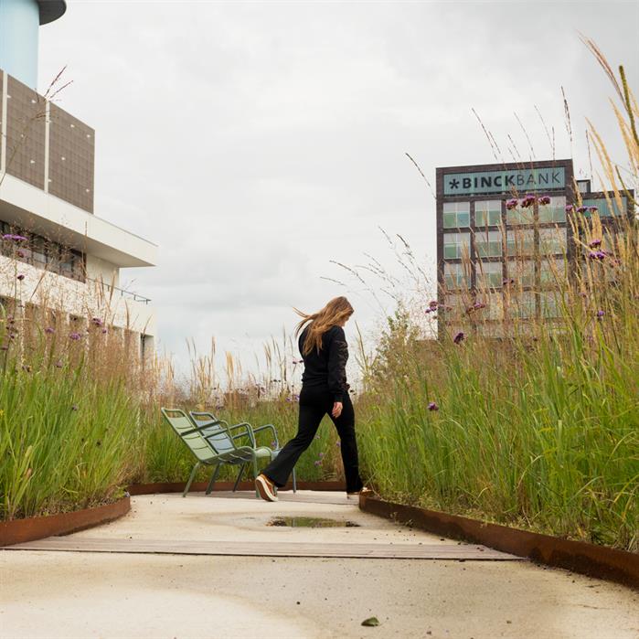 CorTen Edging Straight 2300mm CorTen 2mm (CR2.100.10)